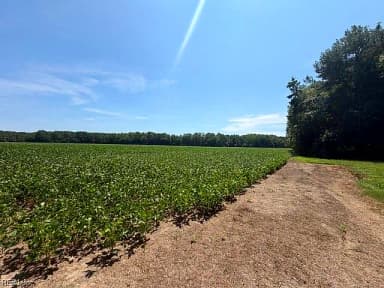 172 Ac Georgetown RD, WAVERLY VA 23890 thumb 3