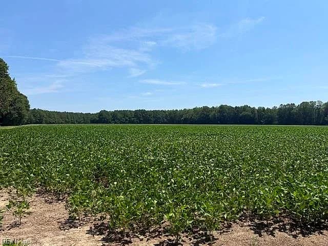 172 Ac Georgetown RD, WAVERLY VA 23890 - Photo 4