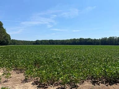 172 Ac Georgetown RD, WAVERLY VA 23890 thumb 4