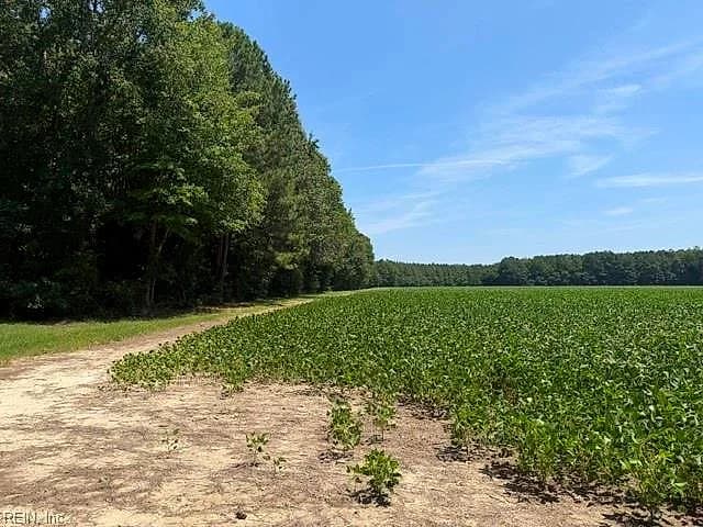 172 Ac Georgetown RD, WAVERLY VA 23890 - Photo 5