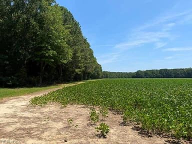 172 Ac Georgetown RD, WAVERLY VA 23890 thumb 5