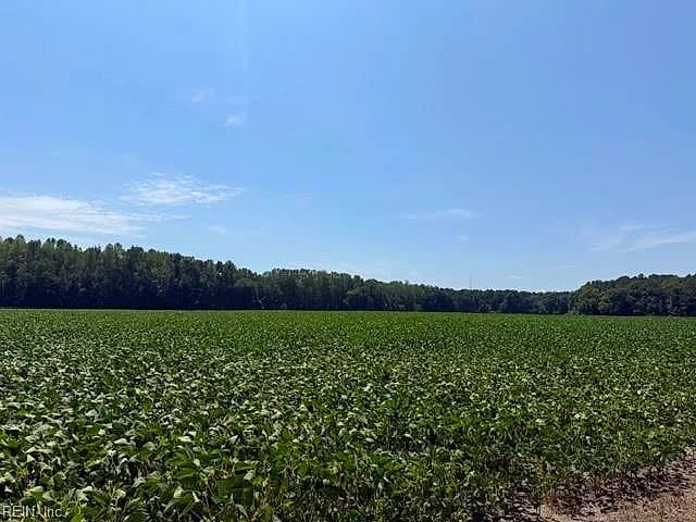 172 Ac Georgetown RD, WAVERLY VA 23890 thumb 6