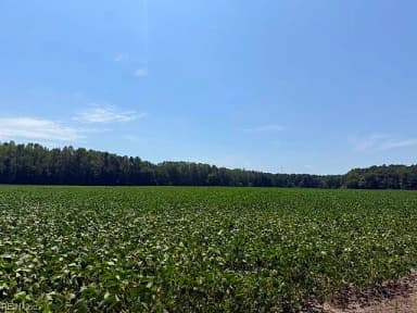 172 Ac Georgetown RD, WAVERLY VA 23890 thumb 6