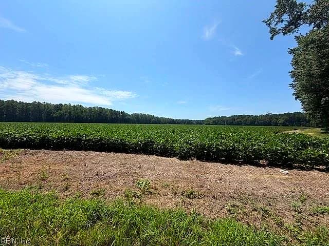 172 Ac Georgetown RD, WAVERLY VA 23890 thumb 8