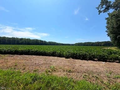 172 Ac Georgetown RD, WAVERLY VA 23890 thumb 8