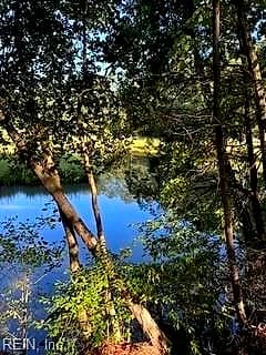 4 ACRE Gayle WAY, CARROLLTON VA 23314 - Photo 4