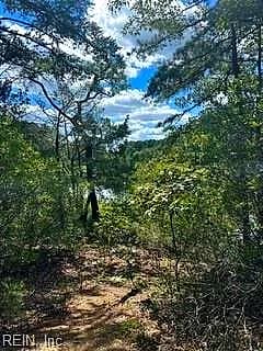 4 ACRE Gayle WAY, CARROLLTON VA 23314 - Photo 5