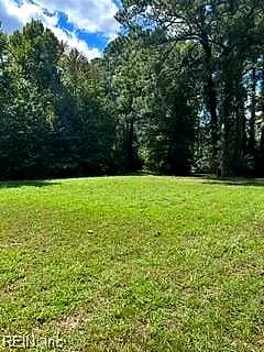 4 ACRE Gayle WAY, CARROLLTON VA 23314 thumb 6
