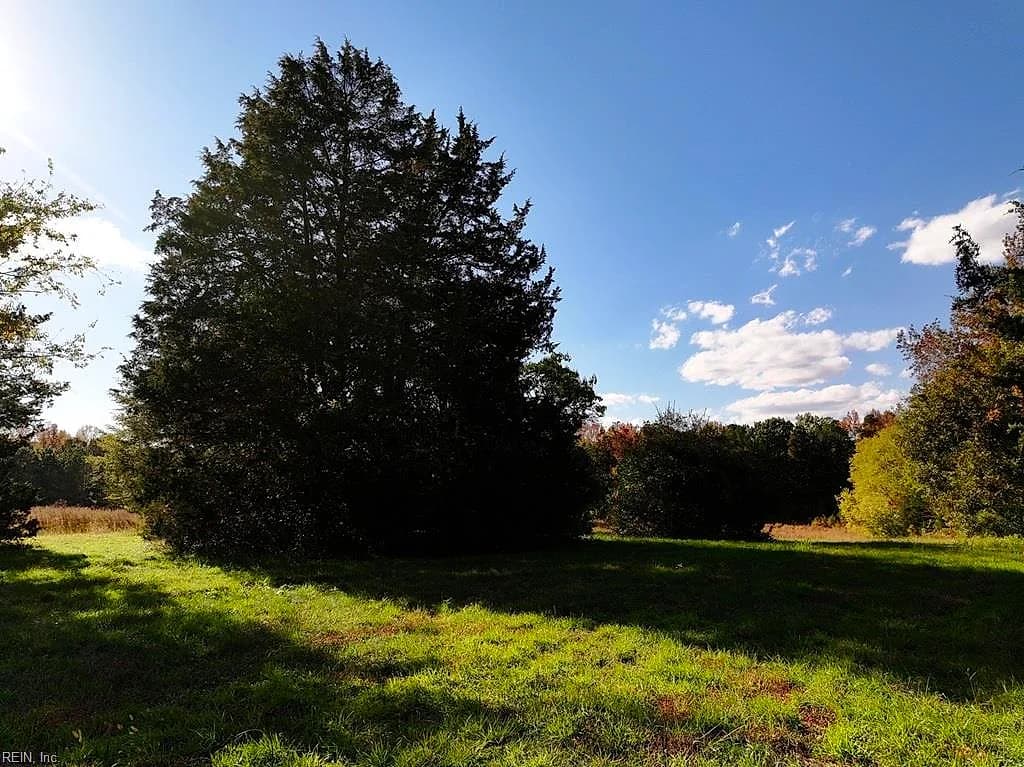 42-14 Chippokes Farm RD, SURRY VA 23883 thumb 8