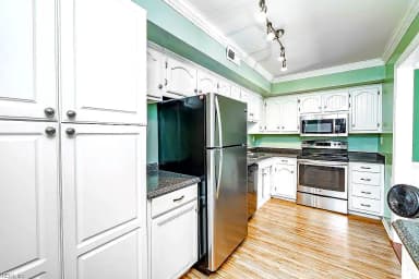 1007 River Birch CT, CHESAPEAKE VA 23320 thumb 11