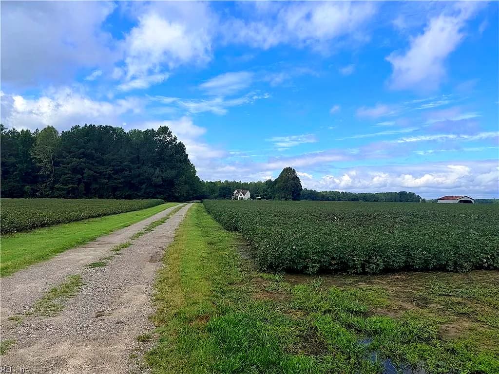 13290 Corinth RD, IVOR VA 23866 thumb 10