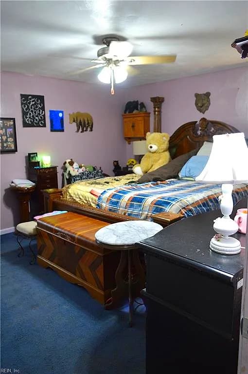 4446 Desert RD, SUFFOLK VA 23434 thumb 10