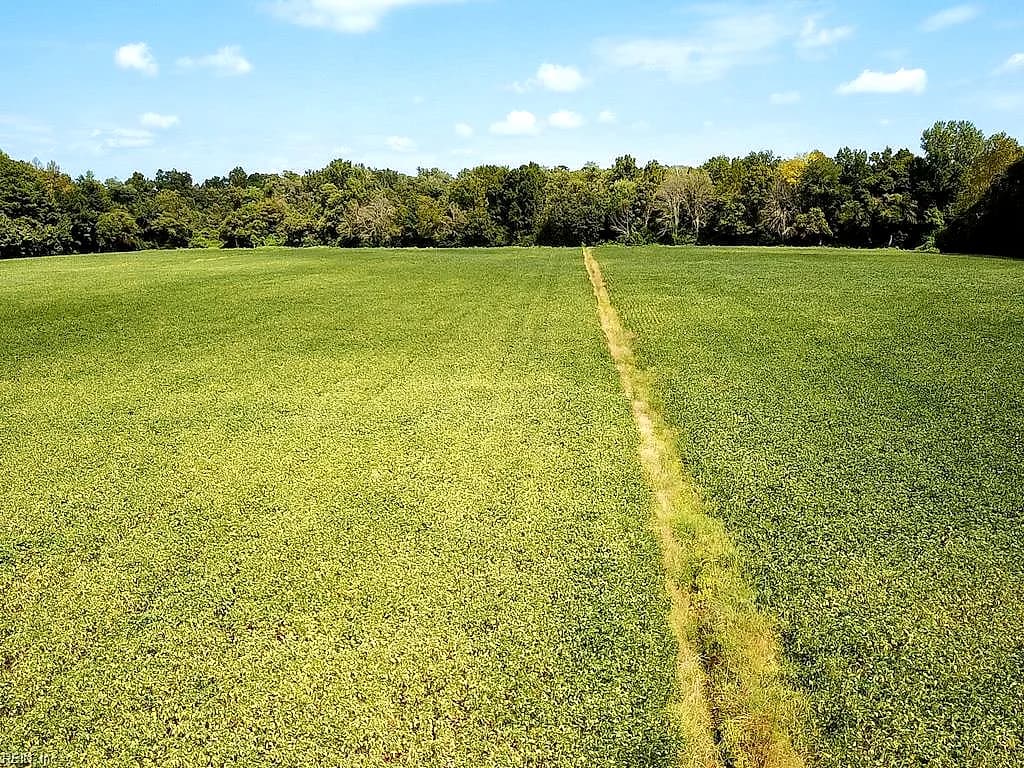 42.4 Acres Benefit RD, CHESAPEAKE VA 23322 - Photo 5