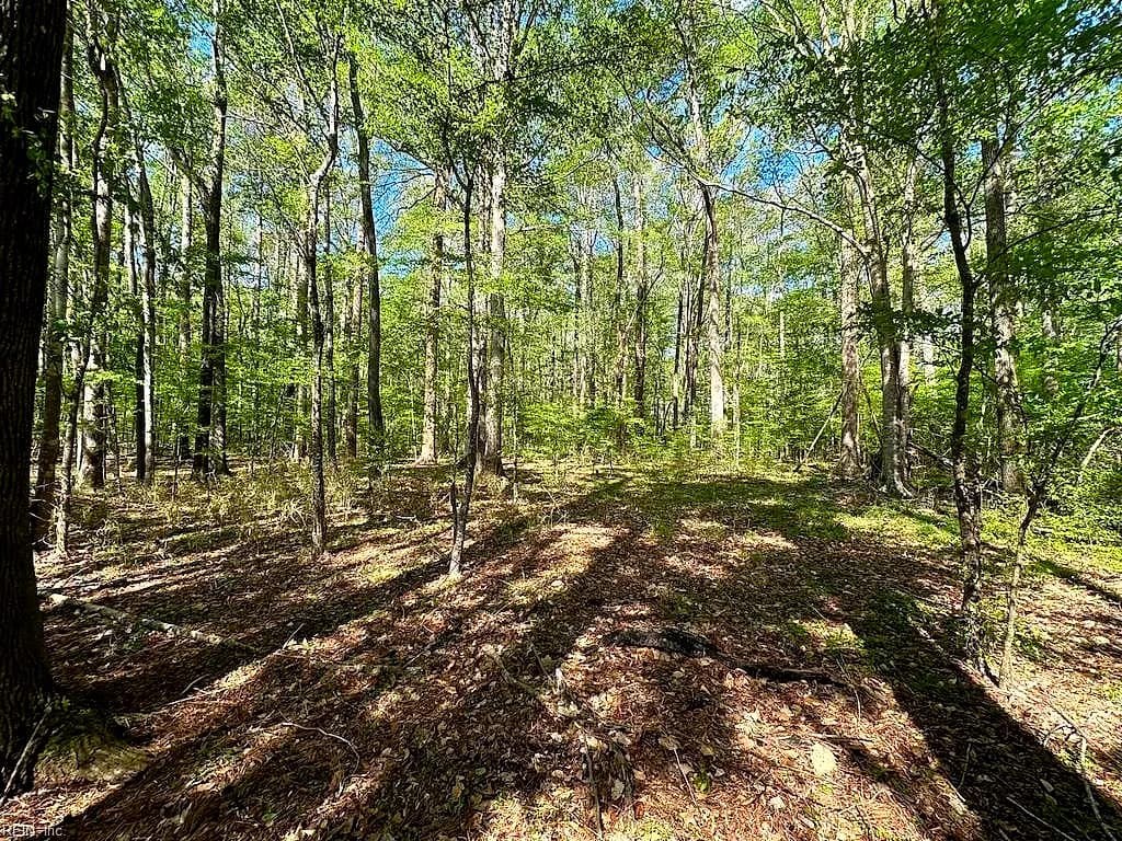 42.4 Acres Benefit RD, CHESAPEAKE VA 23322 thumb 7