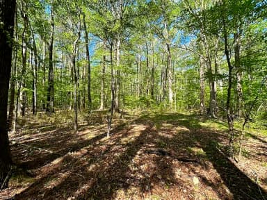 42.4 Acres Benefit RD, CHESAPEAKE VA 23322 thumb 7