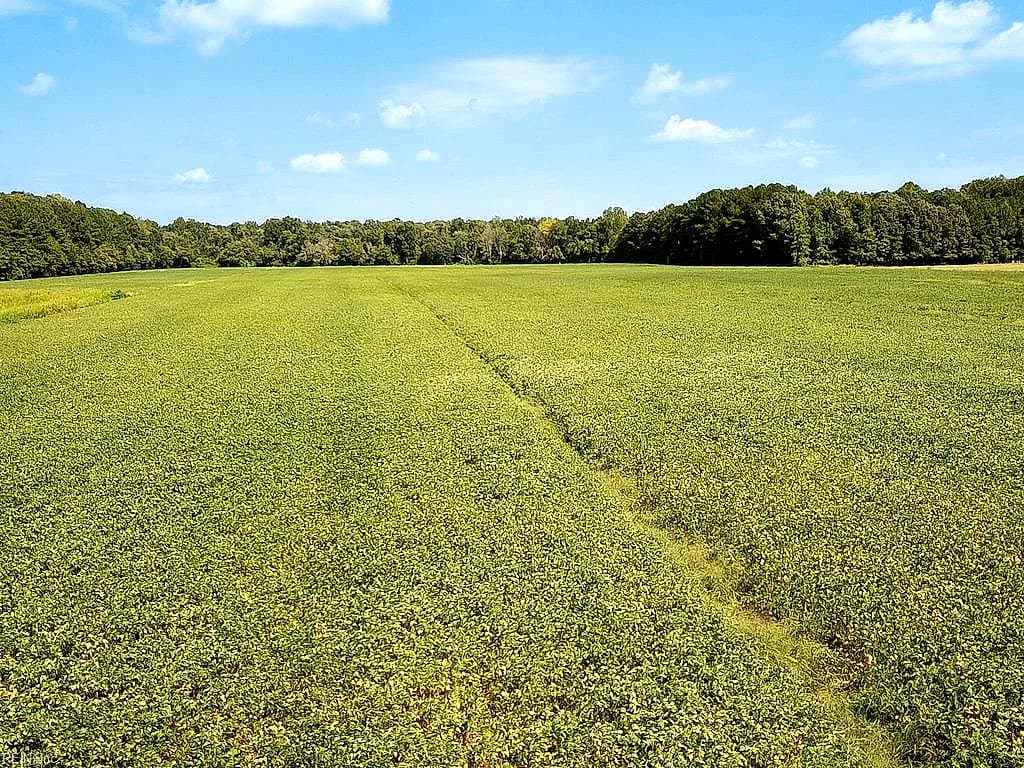 42.4 Acres Benefit RD, CHESAPEAKE VA 23322 thumb 10