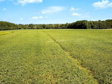 42.4 Acres Benefit RD, CHESAPEAKE VA 23322 thumb 10