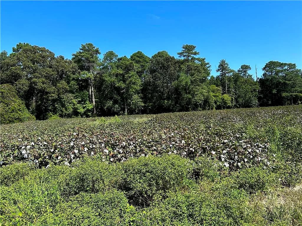 12 Ac Tar RD, WINDSOR VA 23487 - Photo 4