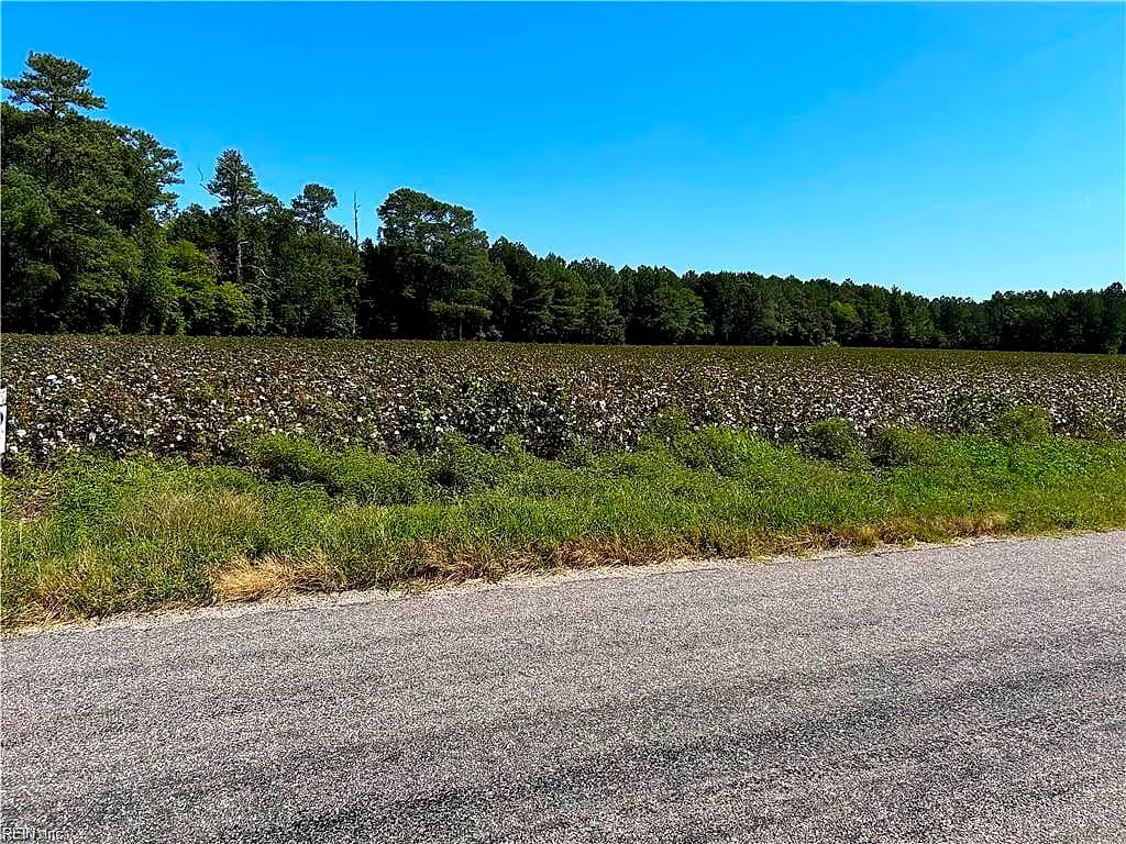 12 Ac Tar RD, WINDSOR VA 23487 - Photo 5