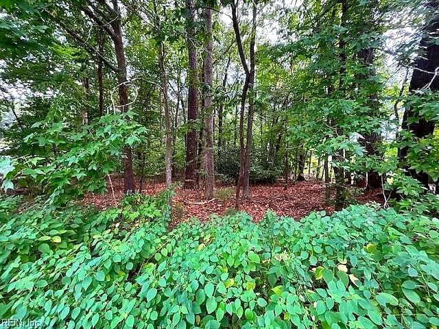 0 Maple DR, CHESAPEAKE VA 23321 - Main photo