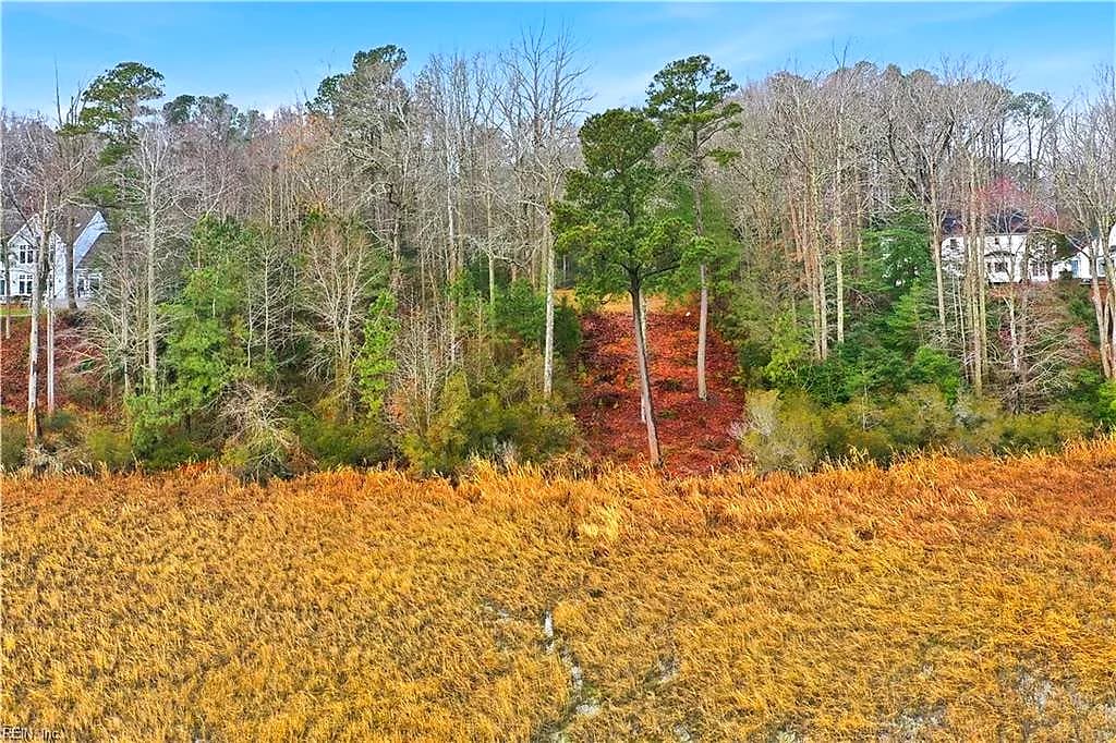 000 High Bluff LN, BARHAMSVILLE VA 23011 thumb 7