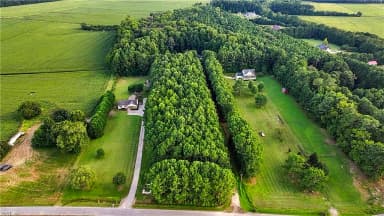 3217 W Gibbs RD, KNOTTSISLAND NC 27950 thumb 8