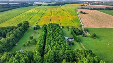 3217 W Gibbs RD, KNOTTSISLAND NC 27950 thumb 9