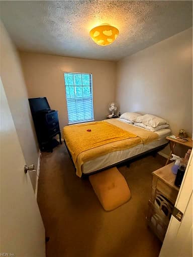 368 Deputy LN #E, NEWPORT NEWS VA 23608 thumb 12