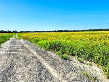 1769 Land Of Promise RD, CHESAPEAKE VA 23322 thumb 12