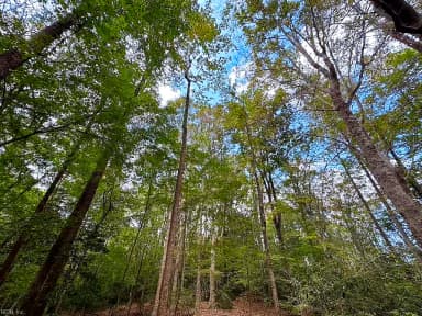 15157 Hilltop LN, SMITHFIELD VA 23430 thumb 6