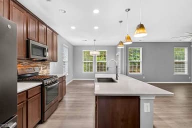 4072 Ravine Gap DR, SUFFOLK VA 23435 thumb 10