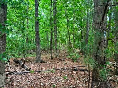 Lot 5 Boxley (Legal address 229 Menchville) BLVD, NEWPORT NEWS VA 23602 thumb 7