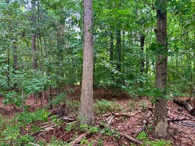 Lot 5 Boxley (Legal address 229 Menchville) BLVD, NEWPORT NEWS VA 23602 thumb 8