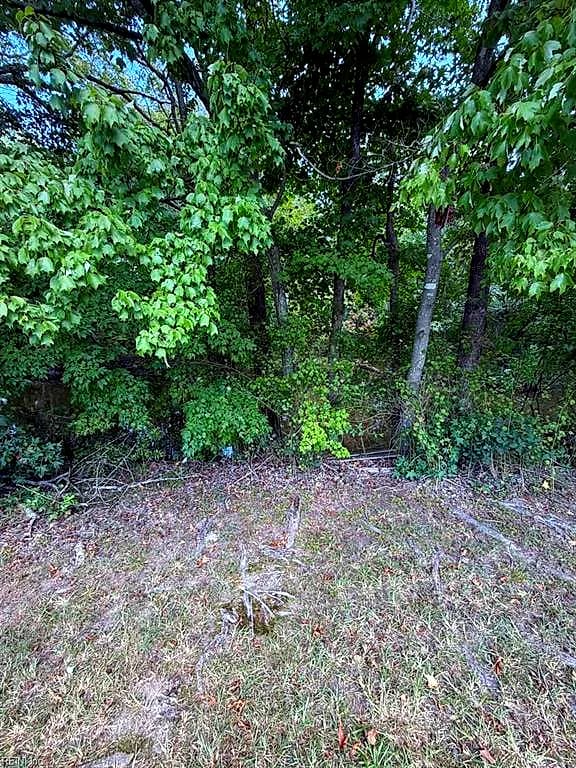 1328 Hawk AVE, VIRGINIA BEACH VA 23453 - Photo 4