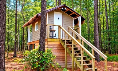 16201 Cabin Pond LN, BOYKINS VA 23827 thumb 5