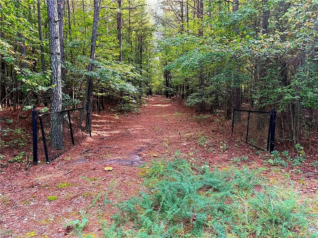 Parcel Dripping Springs RD, DENDRON VA 23839 - Main photo