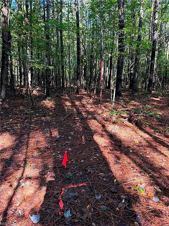 Parcel Dripping Springs RD, DENDRON VA 23839 - Photo 3