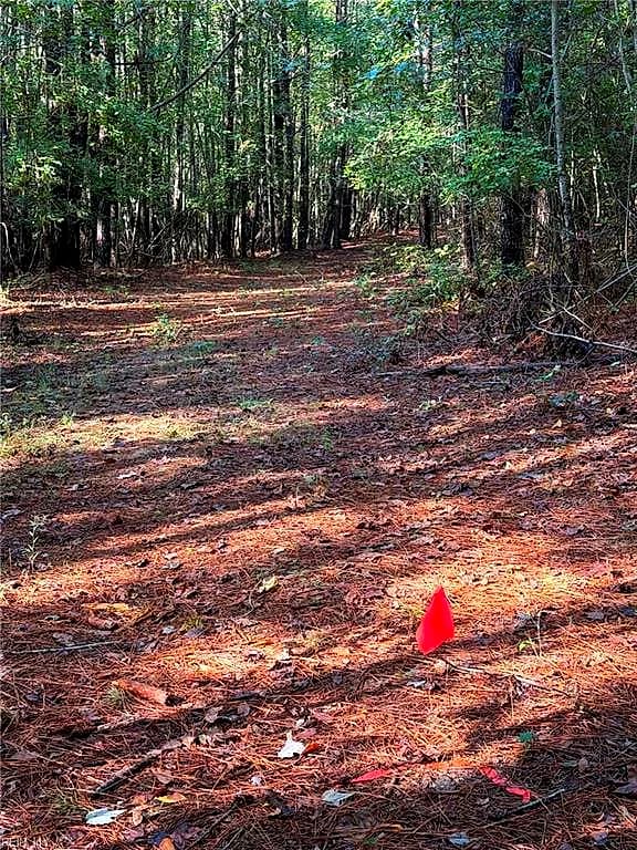 Parcel Dripping Springs RD, DENDRON VA 23839 - Photo 5