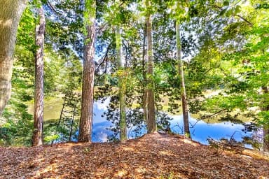 42 Scufflefield RD, NEWPORT NEWS VA 23602 thumb 9