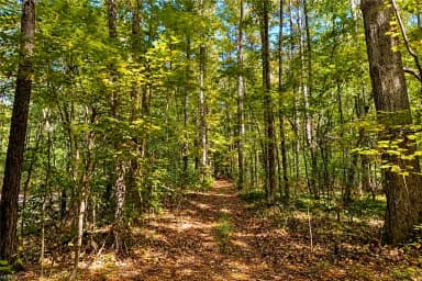 22 AC Johnson LN, CHESAPEAKE VA 23322 thumb 9