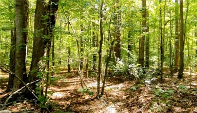 22 AC Johnson LN, CHESAPEAKE VA 23322 thumb 10