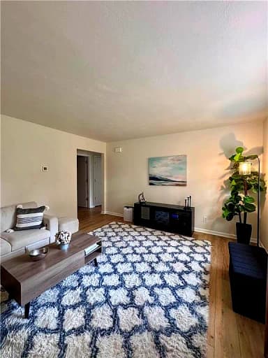 313 Scott LN, VIRGINIA BEACH VA 23451 thumb 7