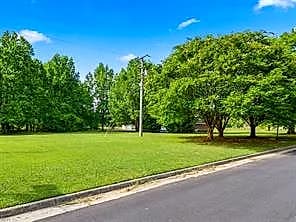1.71AC Carrollton BLVD, CARROLLTON VA 23314 thumb 8