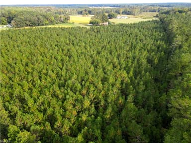 12AC Jenkins Mill RD, FRANKLIN VA 23851 thumb 11