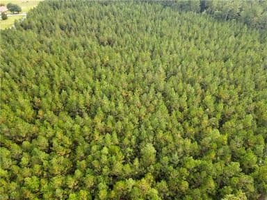 12AC Jenkins Mill RD, FRANKLIN VA 23851 thumb 5