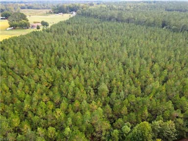 12AC Jenkins Mill RD, FRANKLIN VA 23851 thumb 7