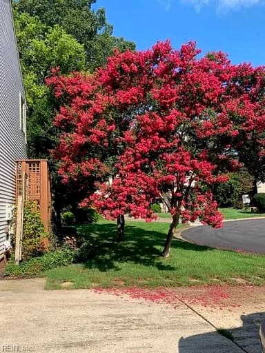 1324 Cambridge WAY, CHESAPEAKE VA 23320 thumb 8