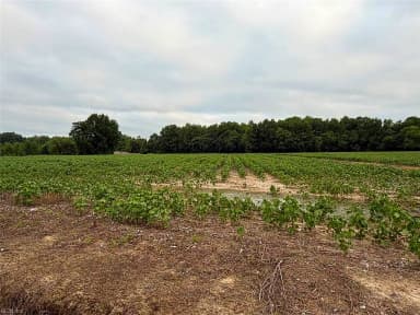 Lot 19 Longstreet LN, SUFFOLK VA 23437 thumb 8