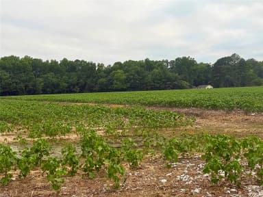 Lot 19 Longstreet LN, SUFFOLK VA 23437 thumb 10