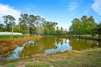 217 Terrywood DR, SUFFOLK VA 23434 thumb 6